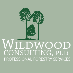 WildwoodPLLC-light WildwoodPLLC-light