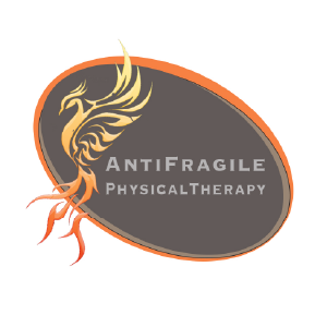 anti-fragile 300x300